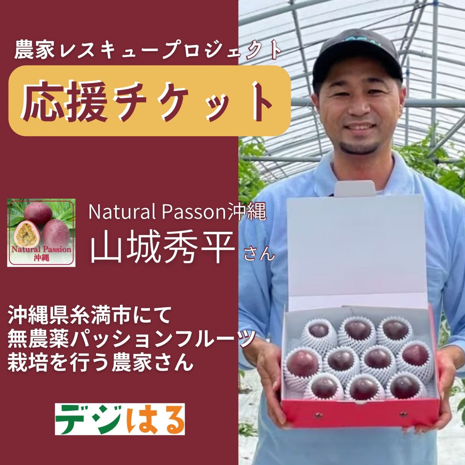 【農家レスキュープロジェクト】農家応援チケット/パッションフルーツ農家の山城秀平さん