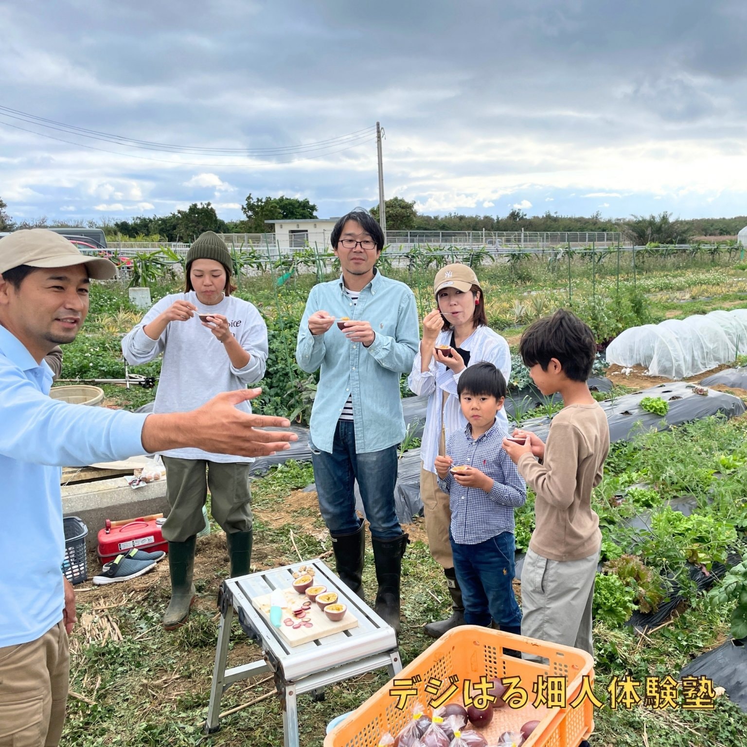 【法人様】複数区画プラン5区画｜デジはる畑人体験塾