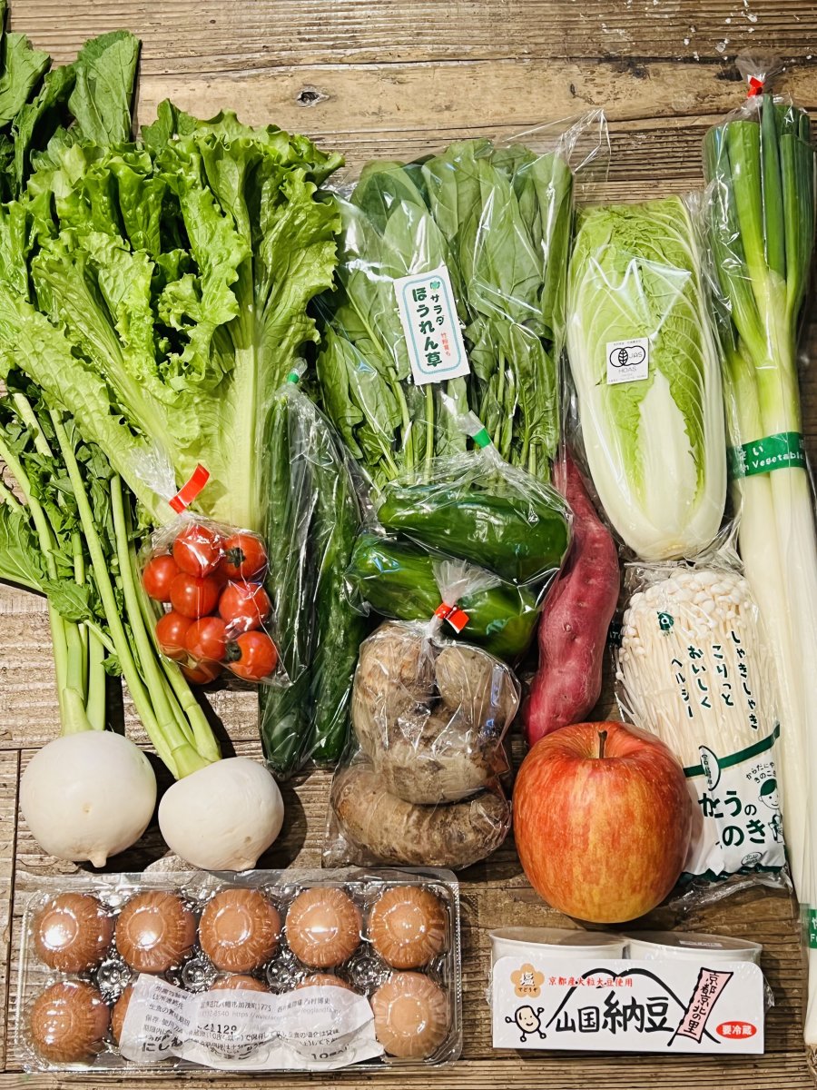 【大人数3〜5人向け】ベジボックスB