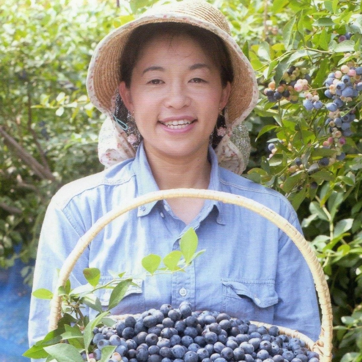 無農薬ブルーベリー１kg｜滋賀県産｜