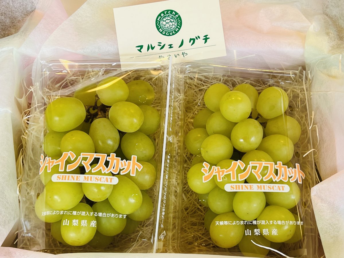 【期間限定】山梨県産特別栽培シャインマスカット2パックセット