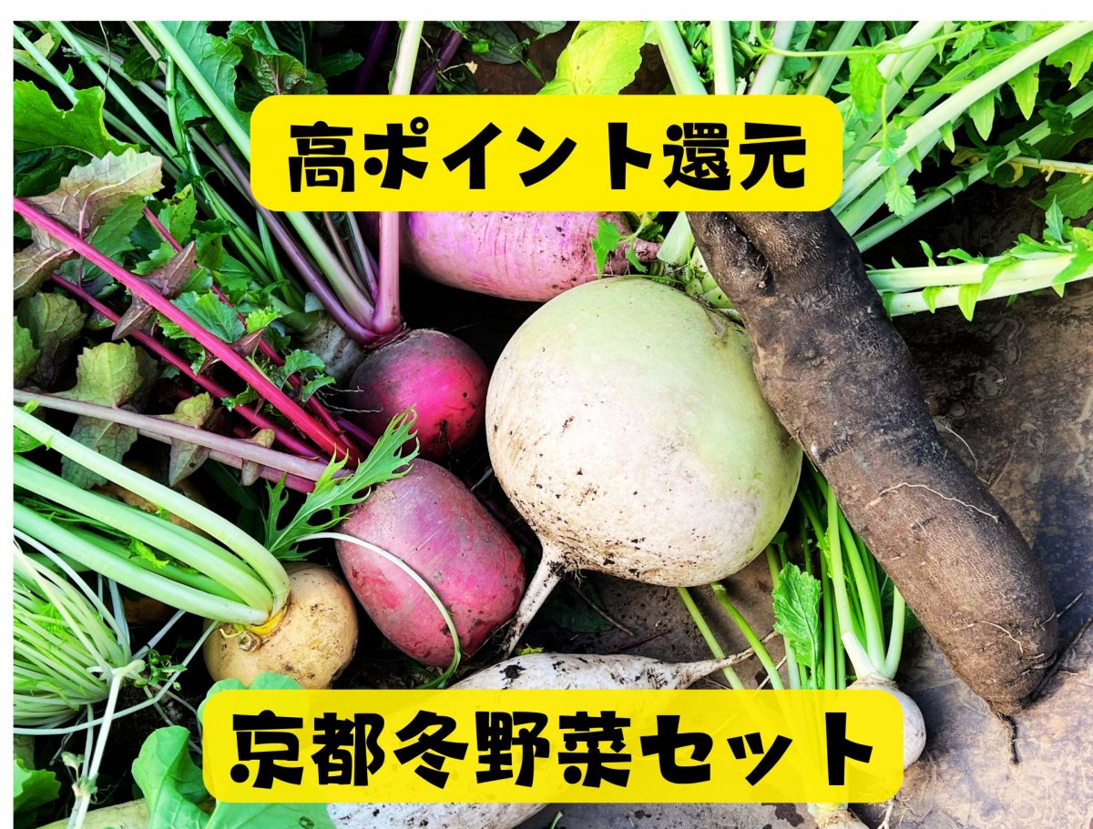 高ポイント還元|京都の冬野菜セット|農薬不使用|おまかせ