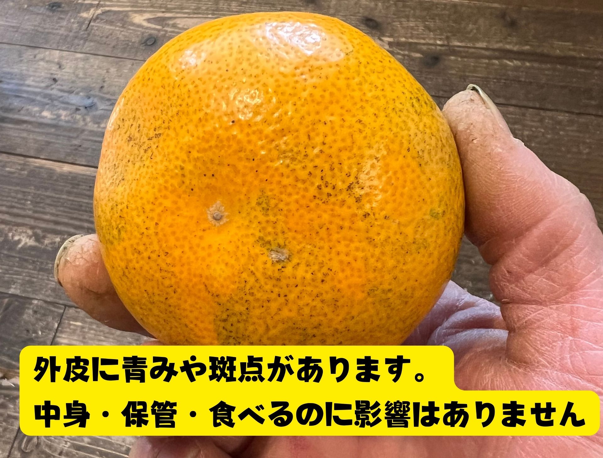 高ポイント還元｜広島県産｜はっさく15kg｜産地直送｜訳あり