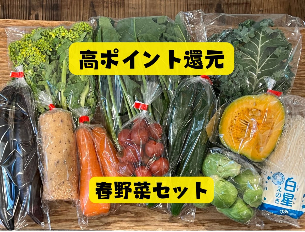 送料込み・高ポイント還元|春野菜セット|おまかせ