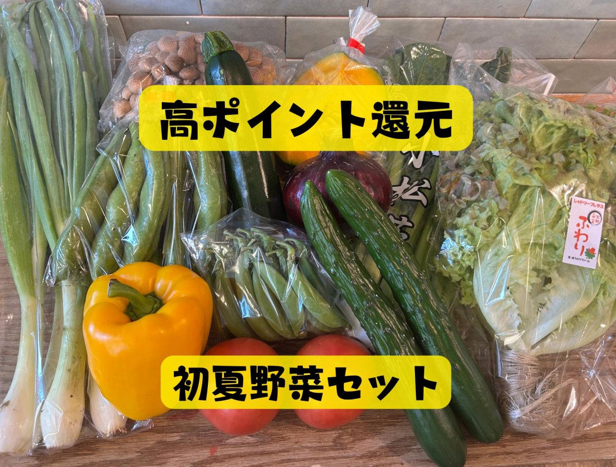 送料込み・高ポイント還元｜初夏野菜セット｜おまかせ