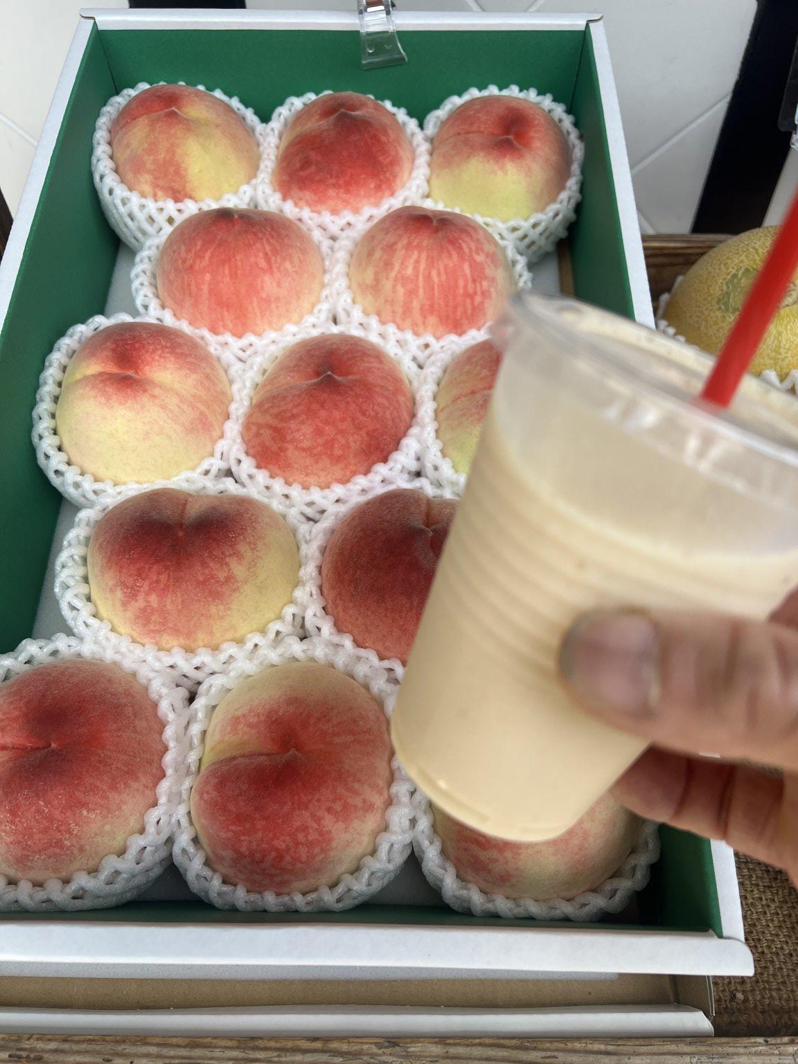 【特別価格】八百屋直伝 本当に飲みやすい極上スムージー　プロが教えるスムージー黄金比  PDFレシピ集