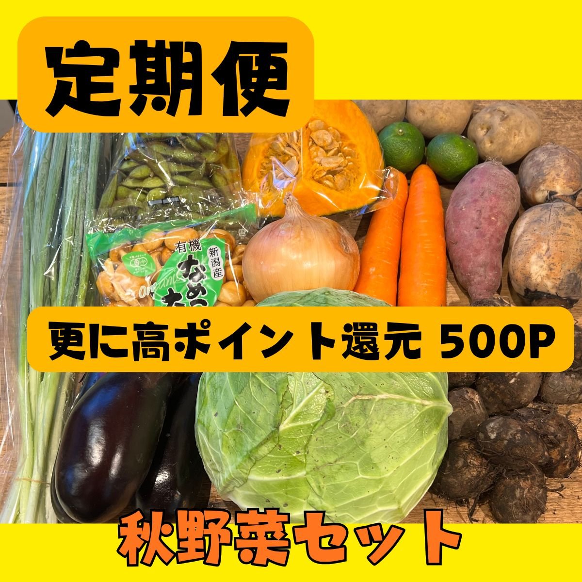 定期便|送料込み・更に高ポイント還元|秋野菜セット|おまかせ @マルシェノグチ