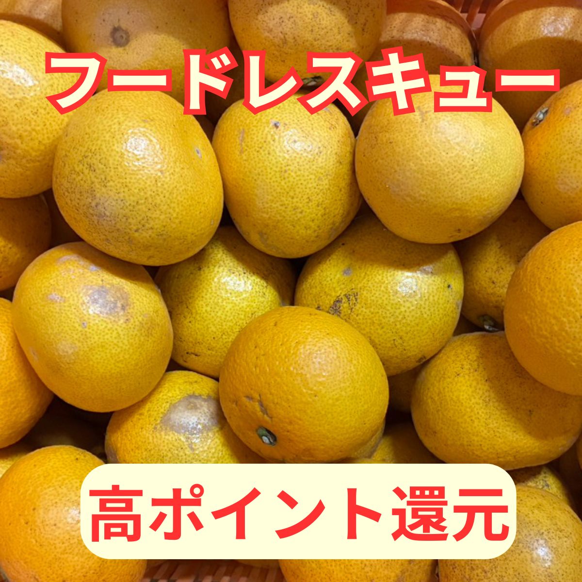 高ポイント還元｜広島県産｜はっさく15kg｜産地直送｜訳あり