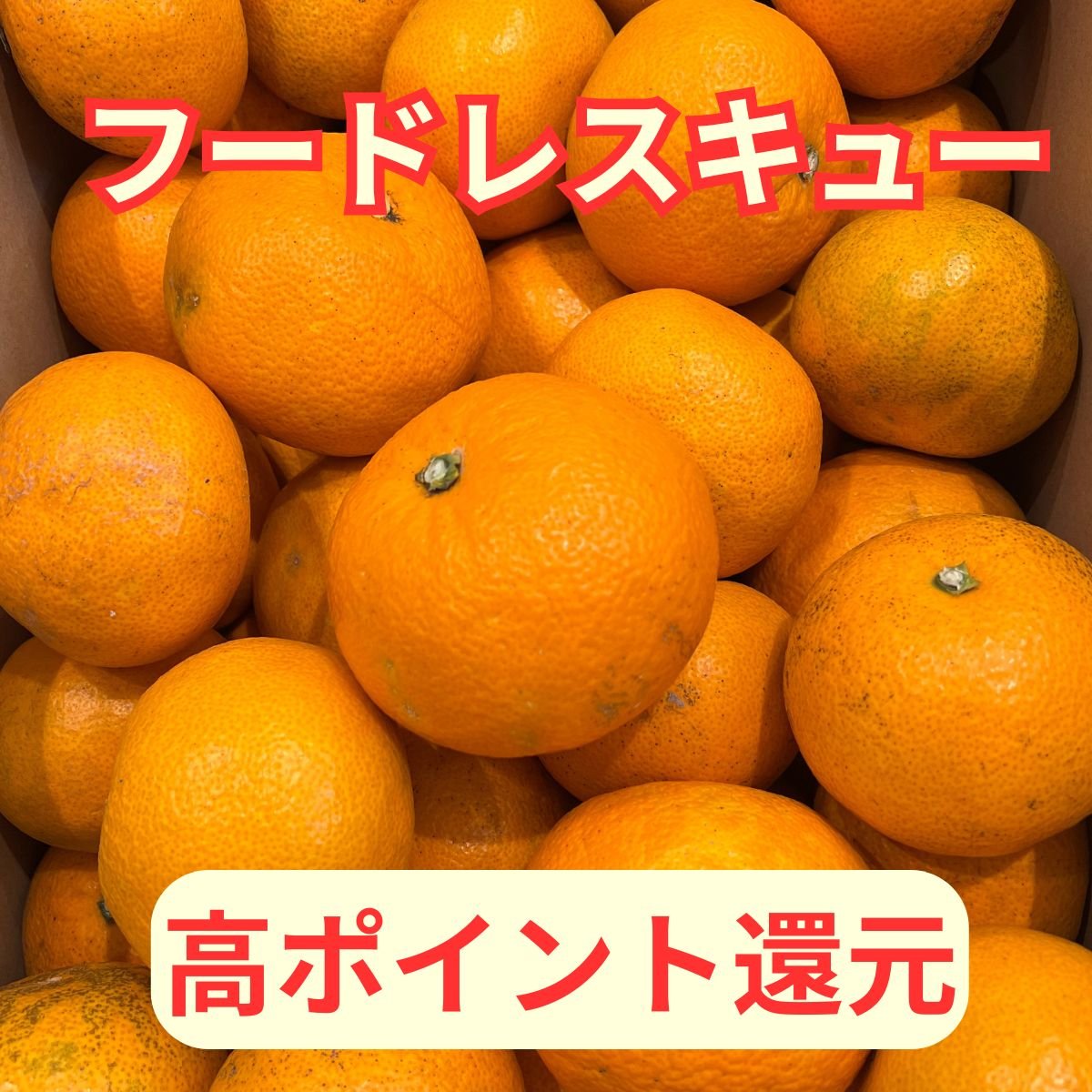 【高ポイント還元｜広島県産｜紅はっさく15kg｜産地直送｜訳あり｜】＠マルシェノグチ