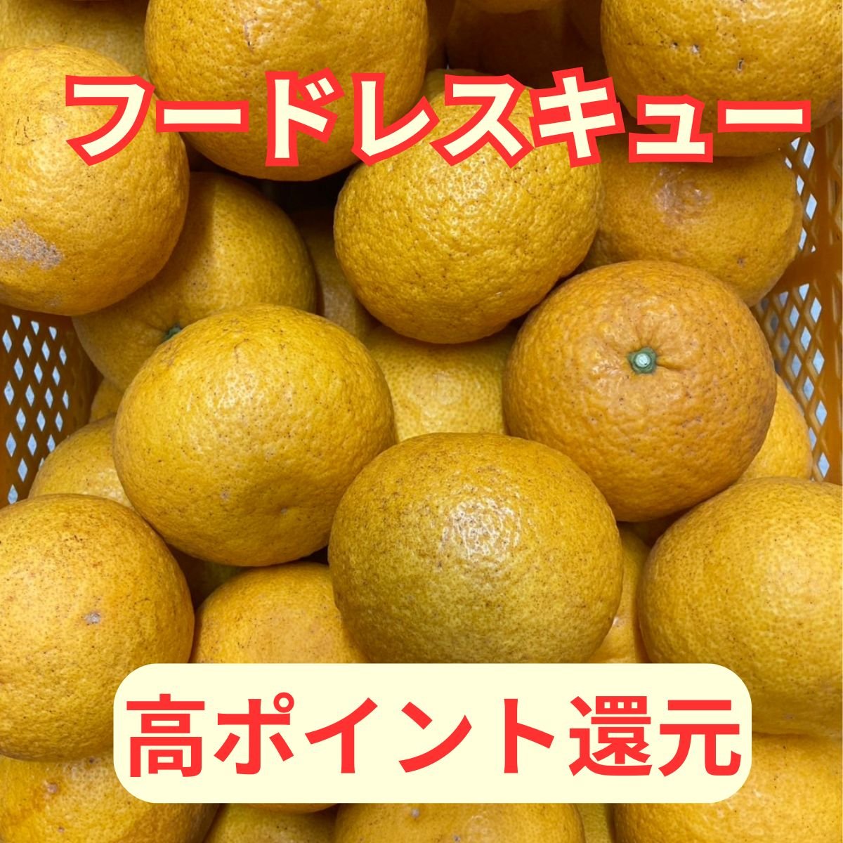 【高ポイント還元｜広島県産｜甘夏13kg｜訳あり】＠マルシェノグチ