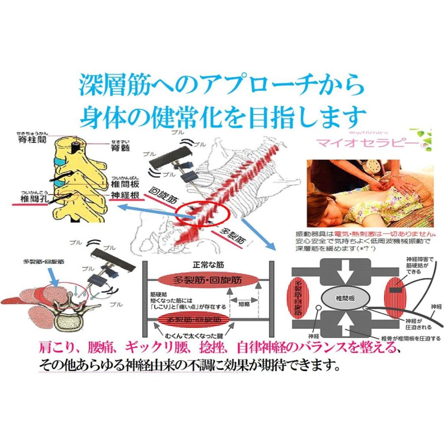 VIP　マイオセラピーコース　120分