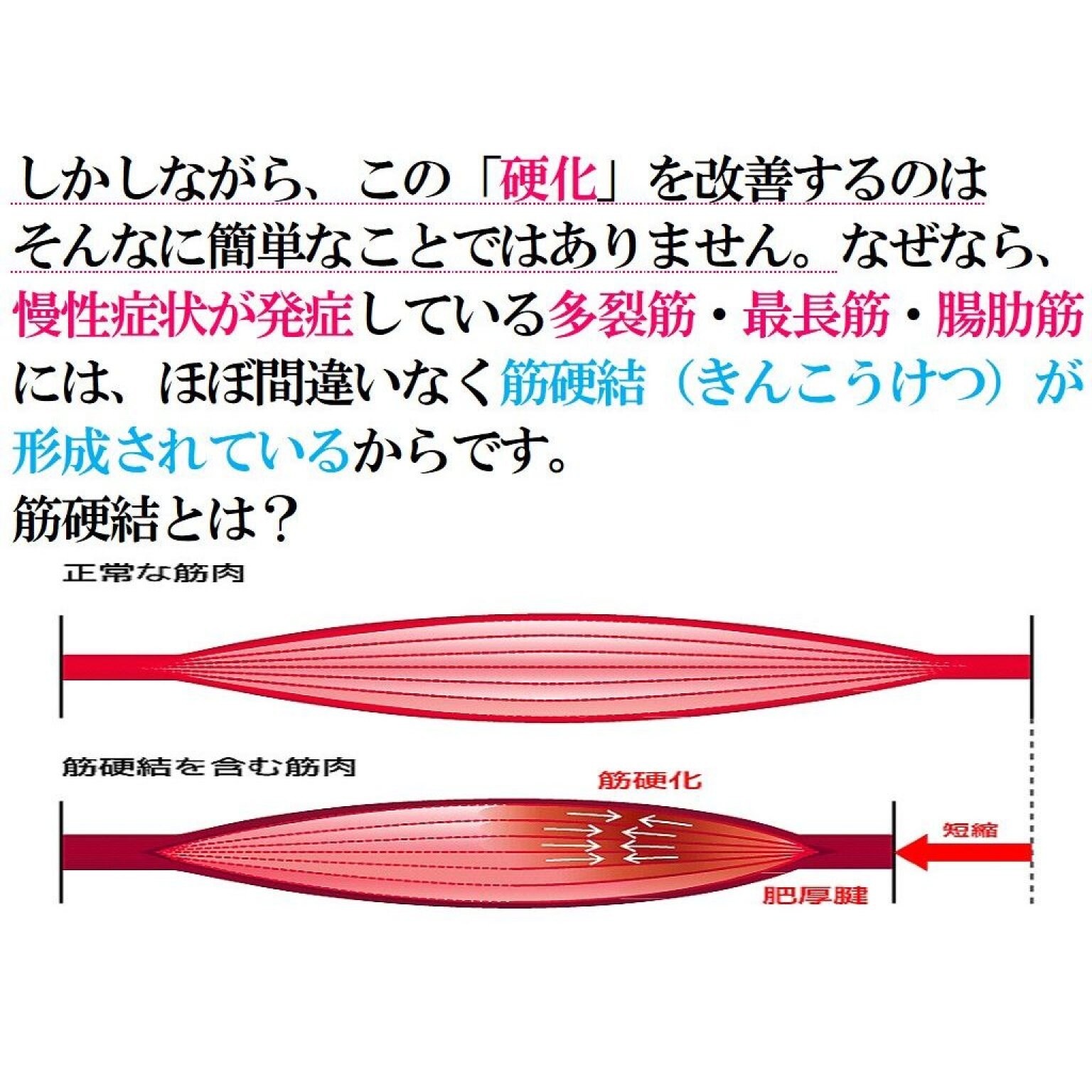 VIP　マイオセラピーコース　120分