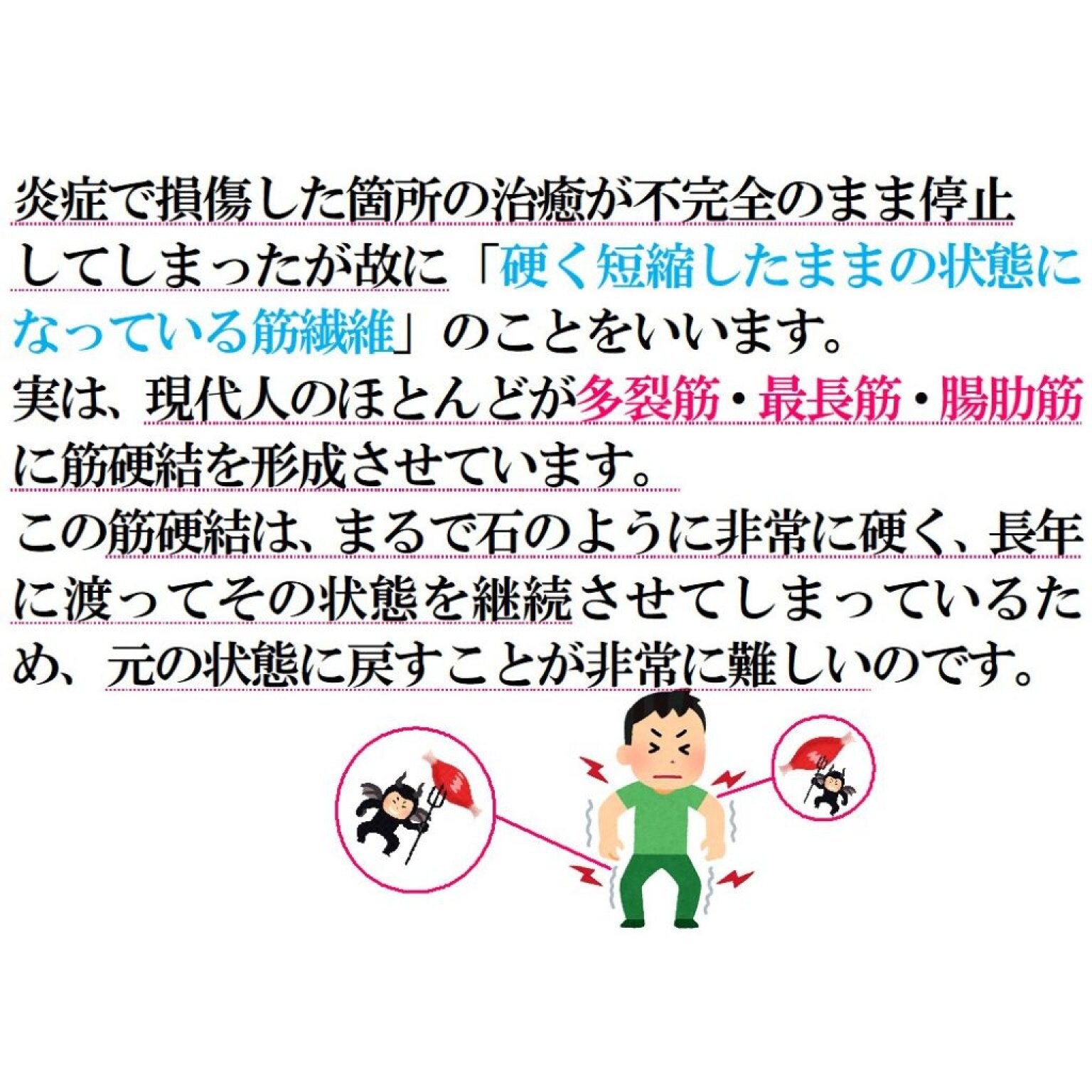 VIP　マイオセラピーコース　120分