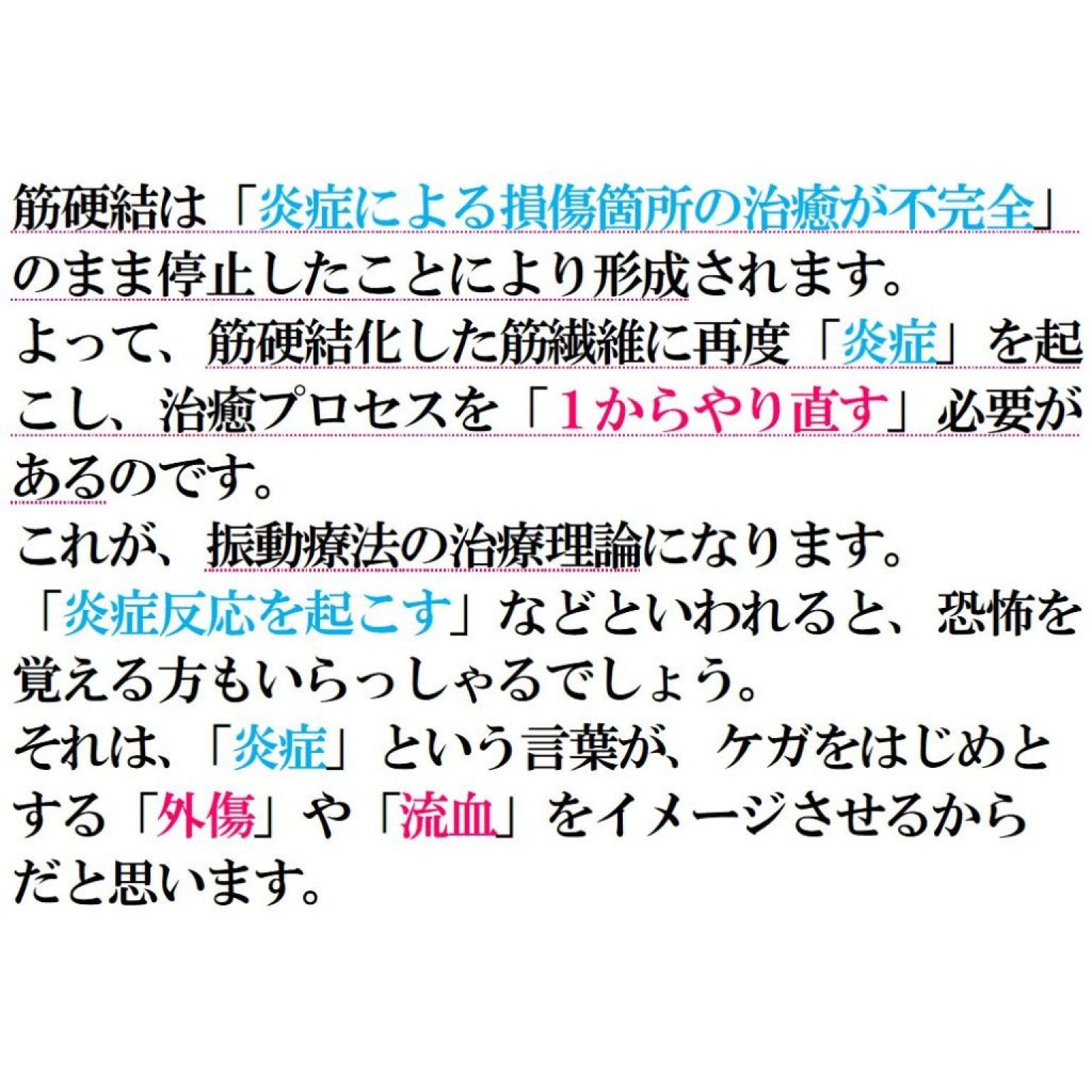 VIP　マイオセラピーコース　120分