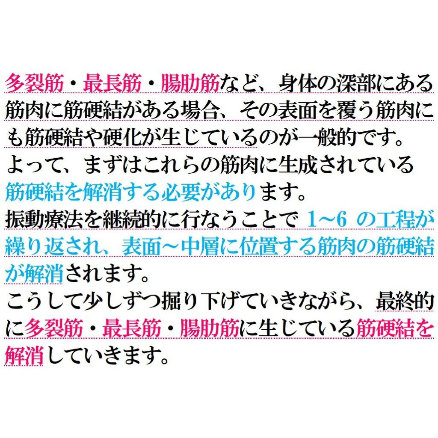 VIP　マイオセラピーコース　120分