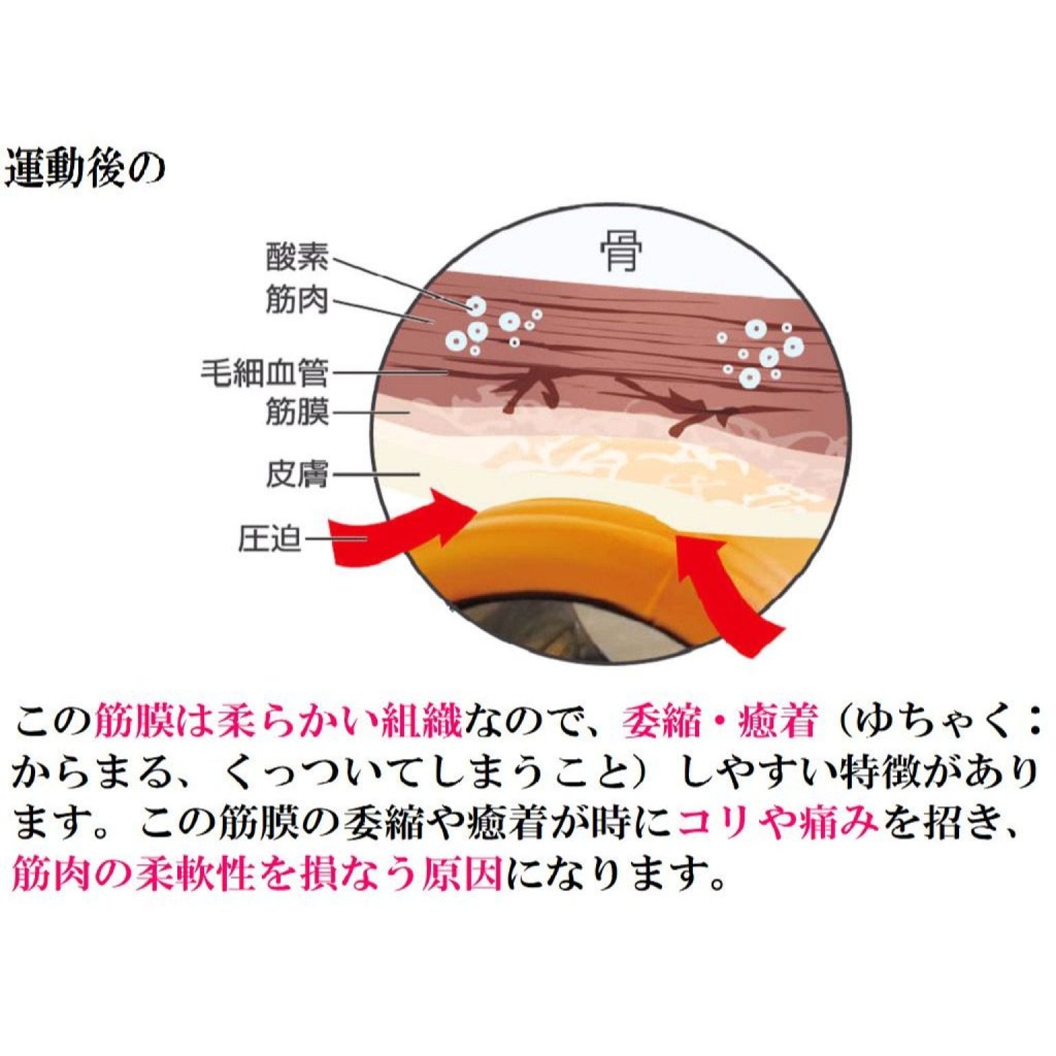 筋膜リリース整体　60分コース