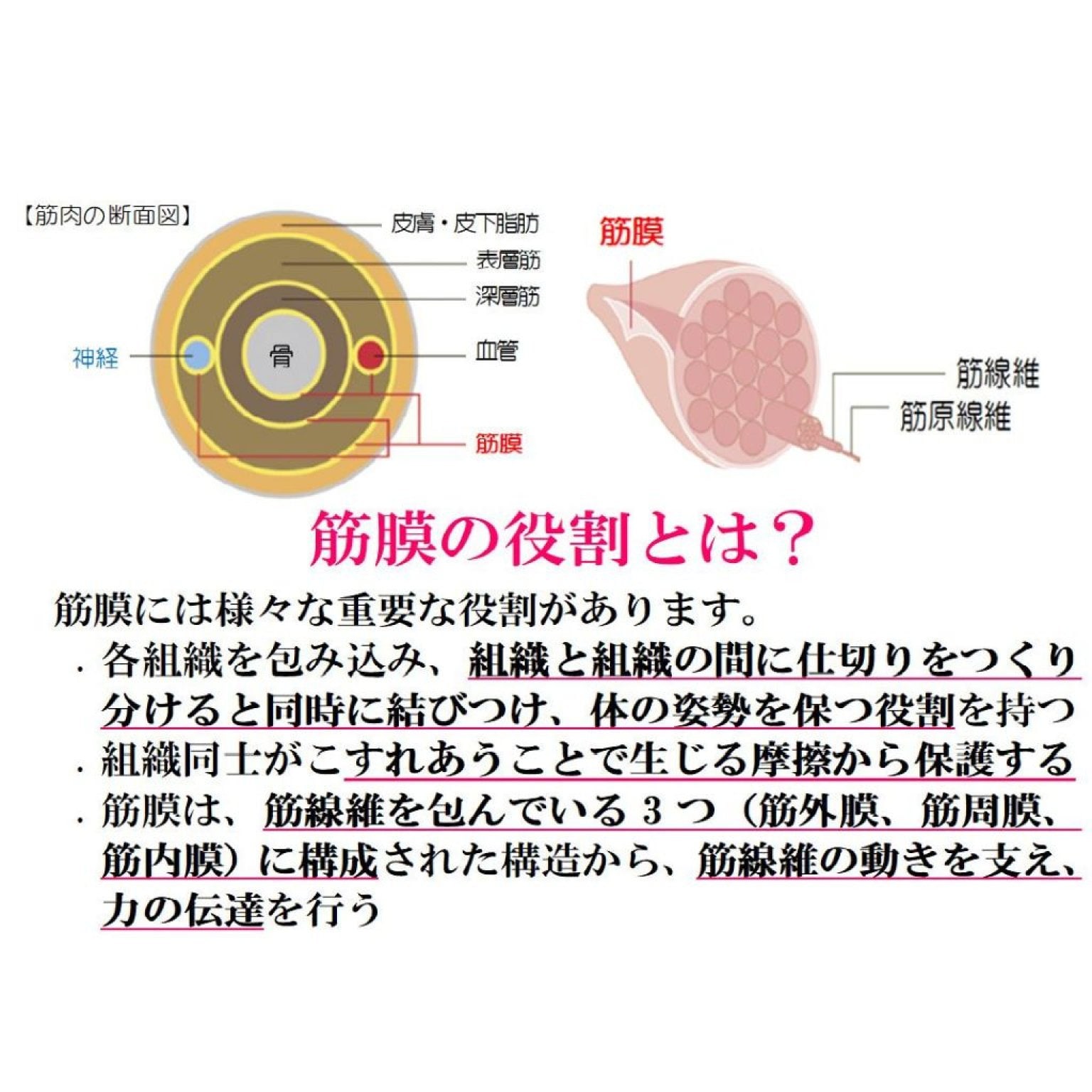 筋膜リリース整体　60分コース