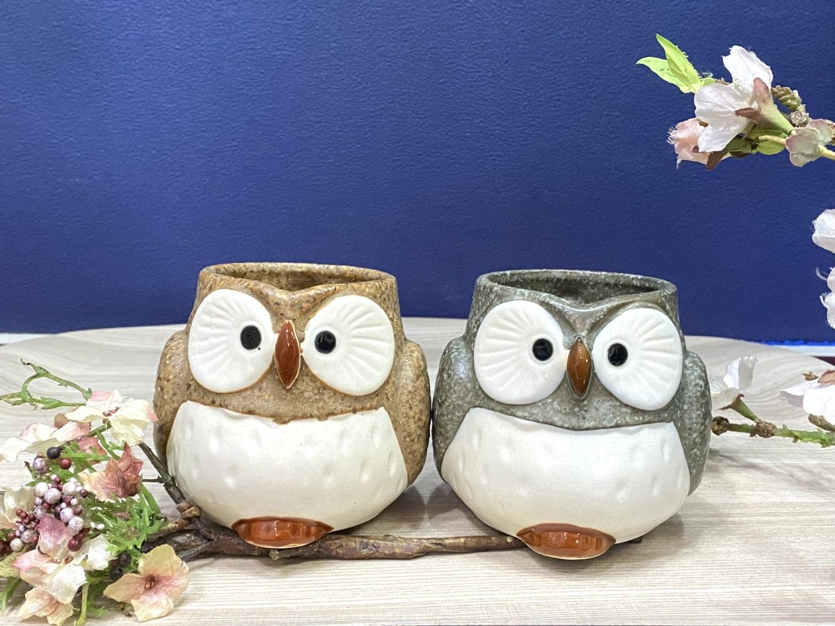 【美濃焼】【選べるカラー】ふくろうマグカップ