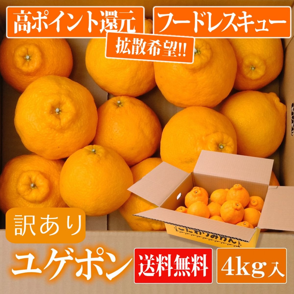 【送料込み フードレスキュー】 弓削(ゆげ)ふぁーむ ユゲポン 約4kg 50年のこだわりと12度以上の糖度厳選 お歳暮 デコポン みかん