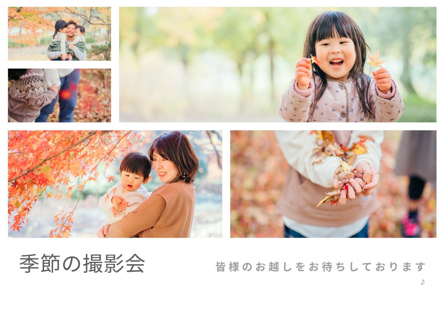 季節の撮影会(紫陽花)