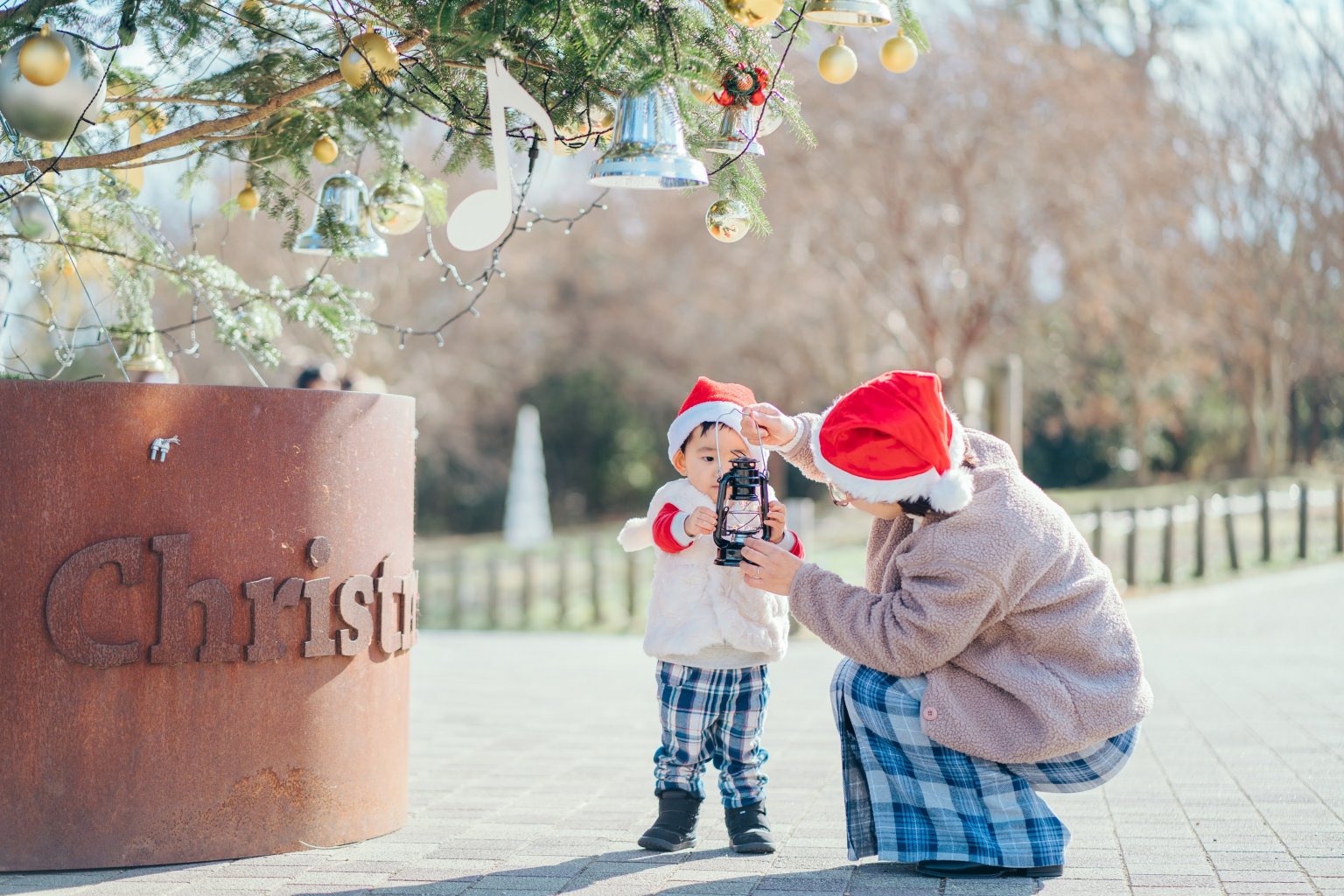 クリスマスツリー撮影会