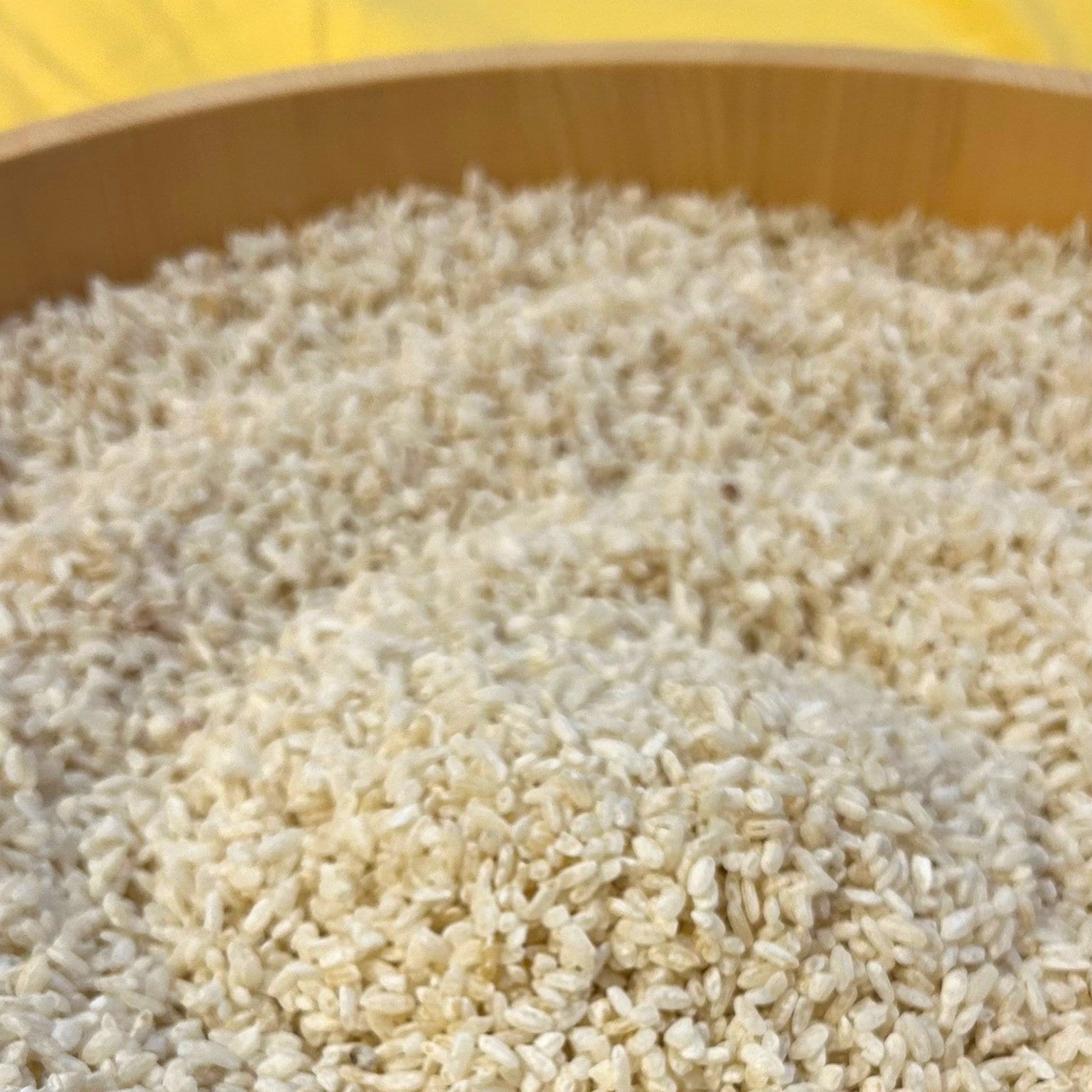 【開催リクエスト受付中！】小麦・砂糖・卵・乳製品不使用☆焼いてないのに焼いた風 “No-bake (焼かない)”チーズケーキレッスン