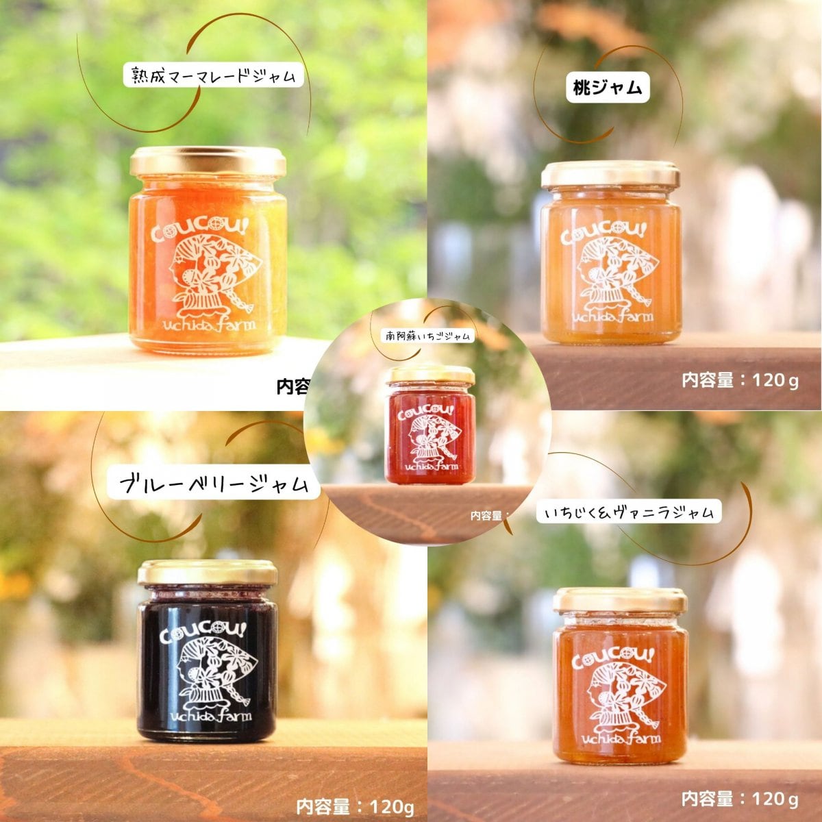 ギフト用ジャムセット　6個入り　（1個：120ｇ入り）　【ブルーベリー・南阿蘇いちご・熟成マーマレード・いちじく＆ヴァニラ・もも】食品添加物不使用