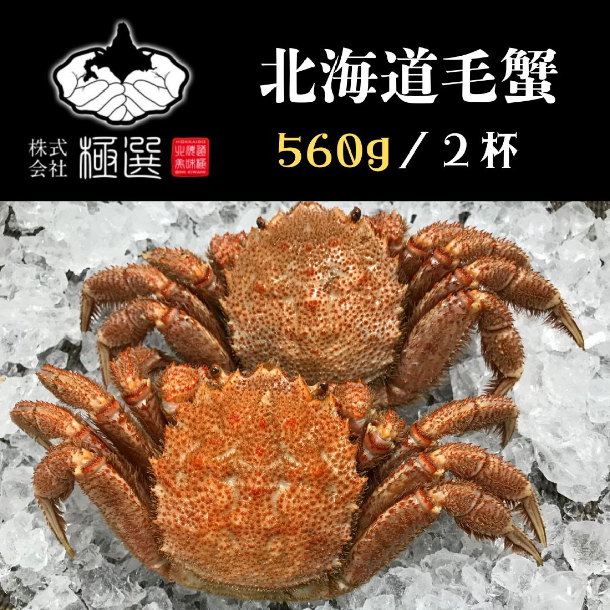 北海道産堅毛蟹｜約560g×２杯（1.12kg相当）