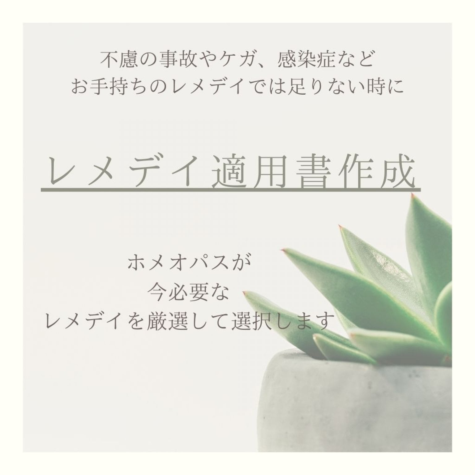 ホメオパシー相談会　応急相談