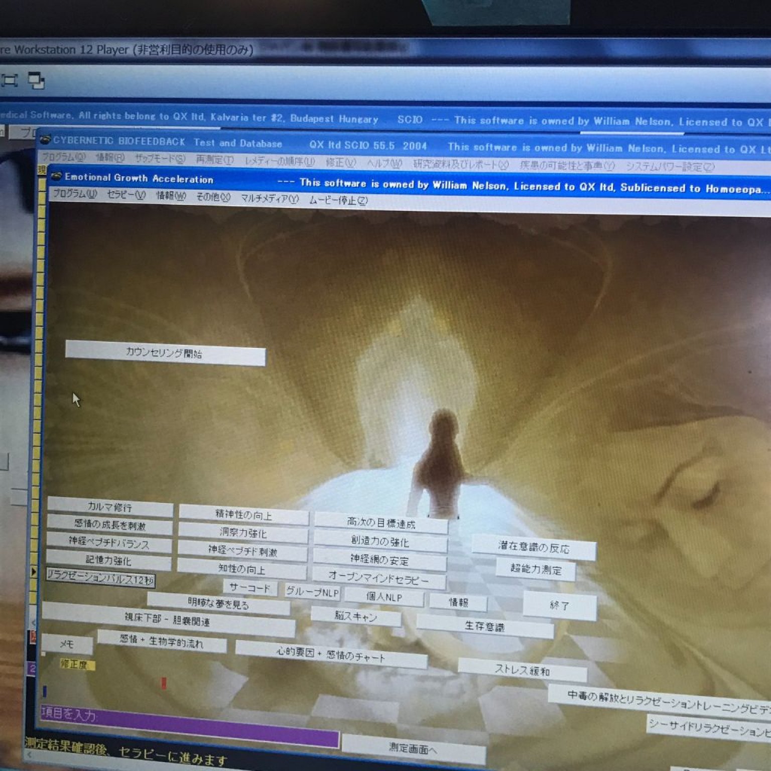 心と体をまるごと波動エステ