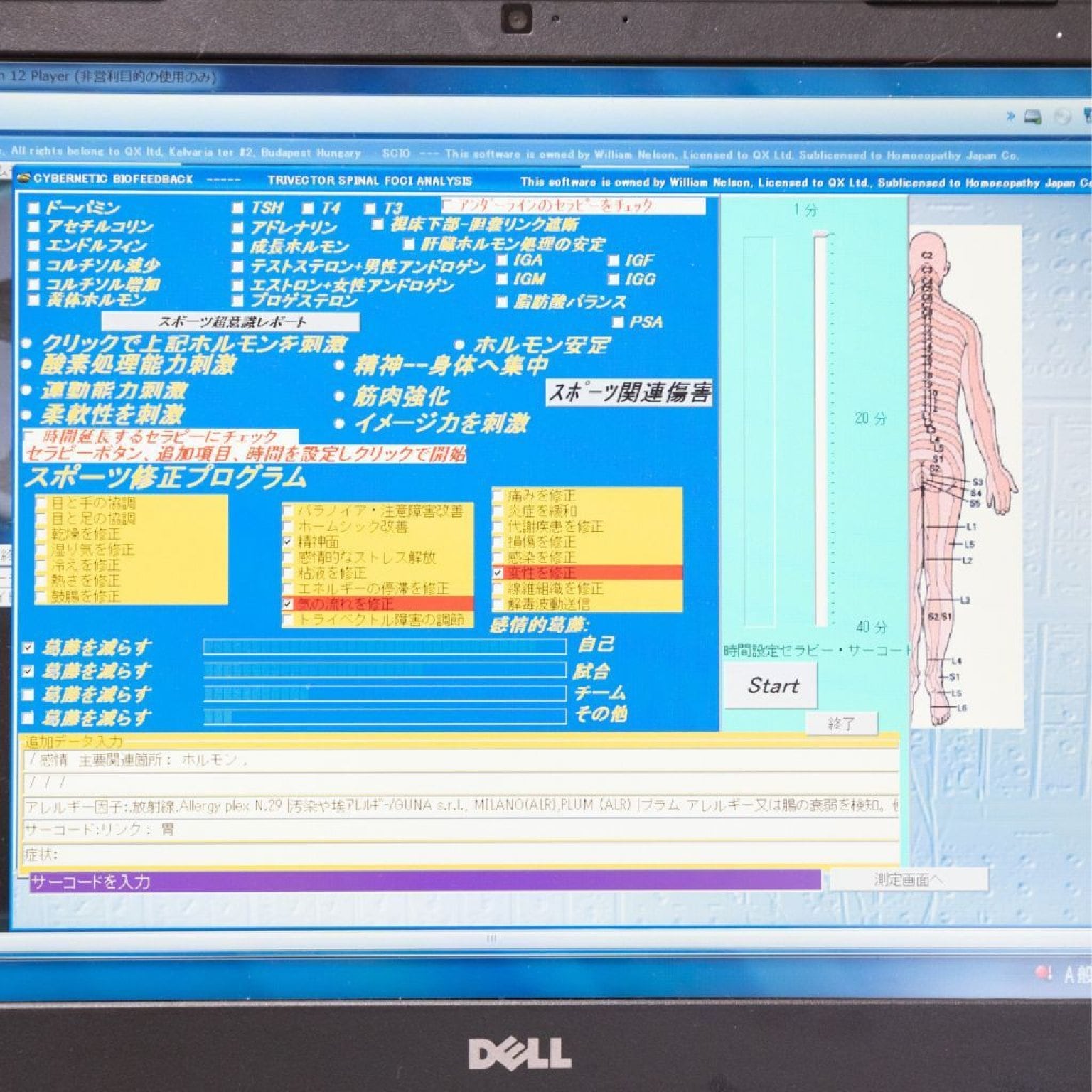 心と体をまるごと波動エステ