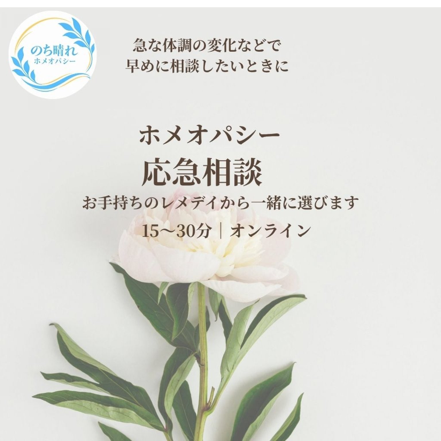 ホメオパシーレメデイ適用書