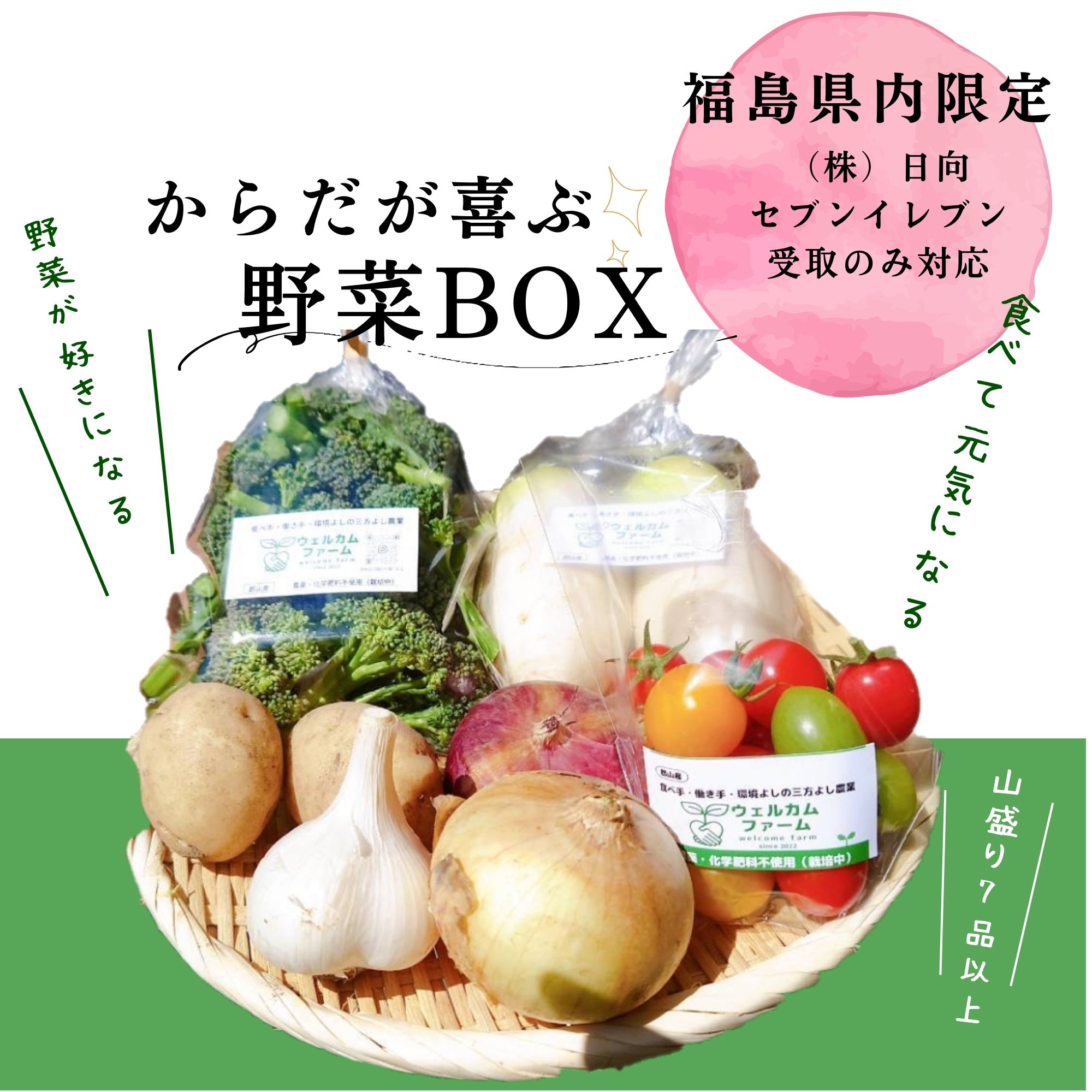 からだが喜ぶ野菜BOX Mサイズ3〜4人分 福島県内受取限定|ウェルカム