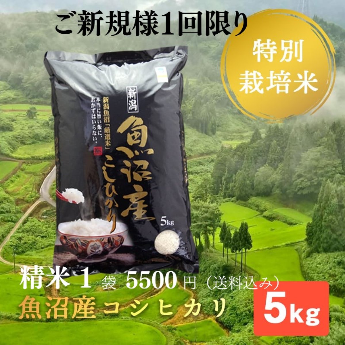 【ご新規様1回限り】精米5ｋ/魚沼産コシヒカリ・棚田米