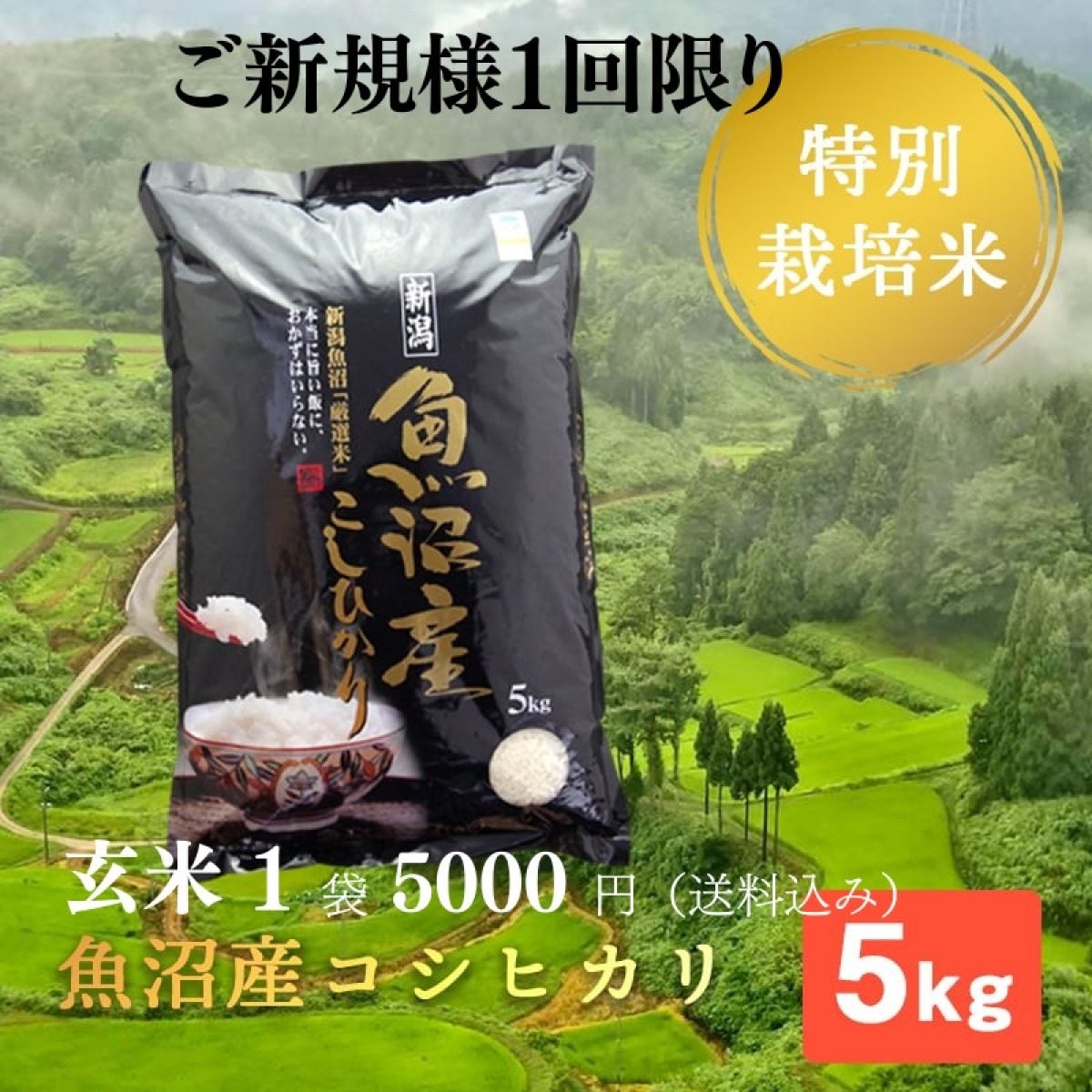 【ご新規様1回限り】玄米5ｋ/魚沼産コシヒカリ・棚田米