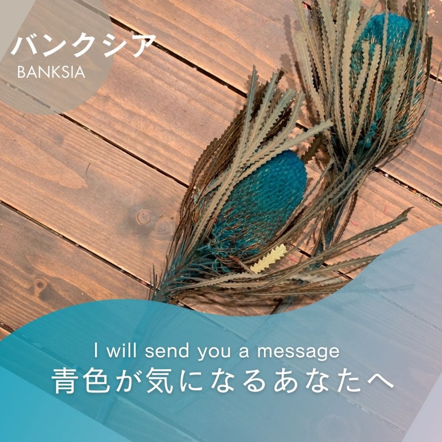 【青色】気になる色のワイルドフラワー『バンクシア』からあなたへのメッセージ