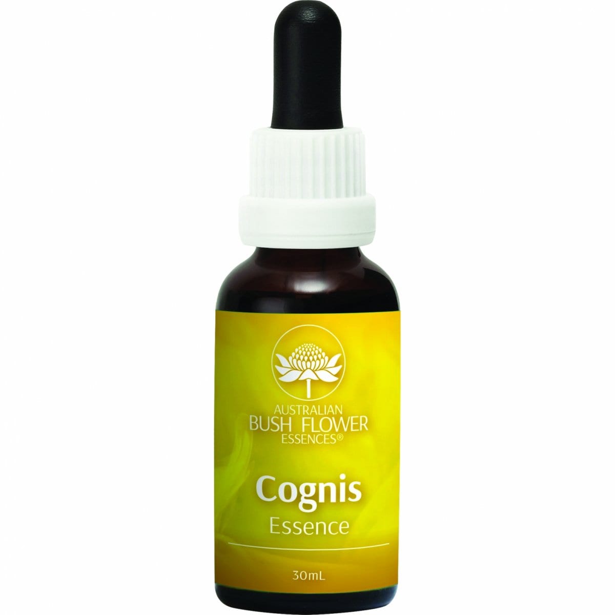 【記憶力】コグニス[Cognis]