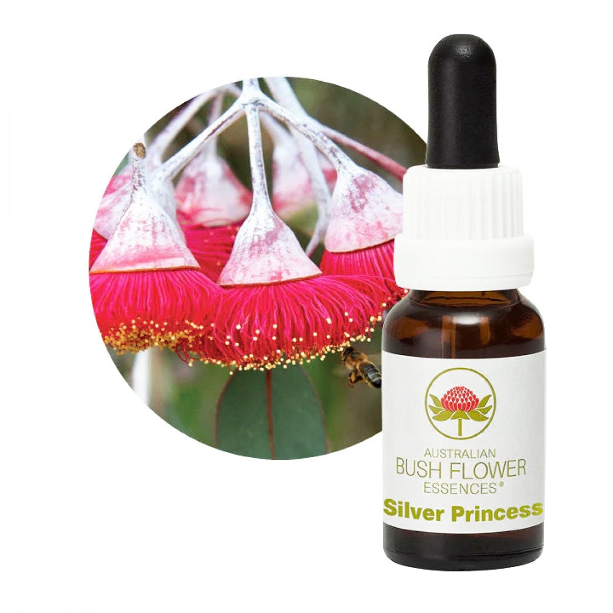 【やる気、方向性、人生の目的】シルバープリンセス[Silver Princess]