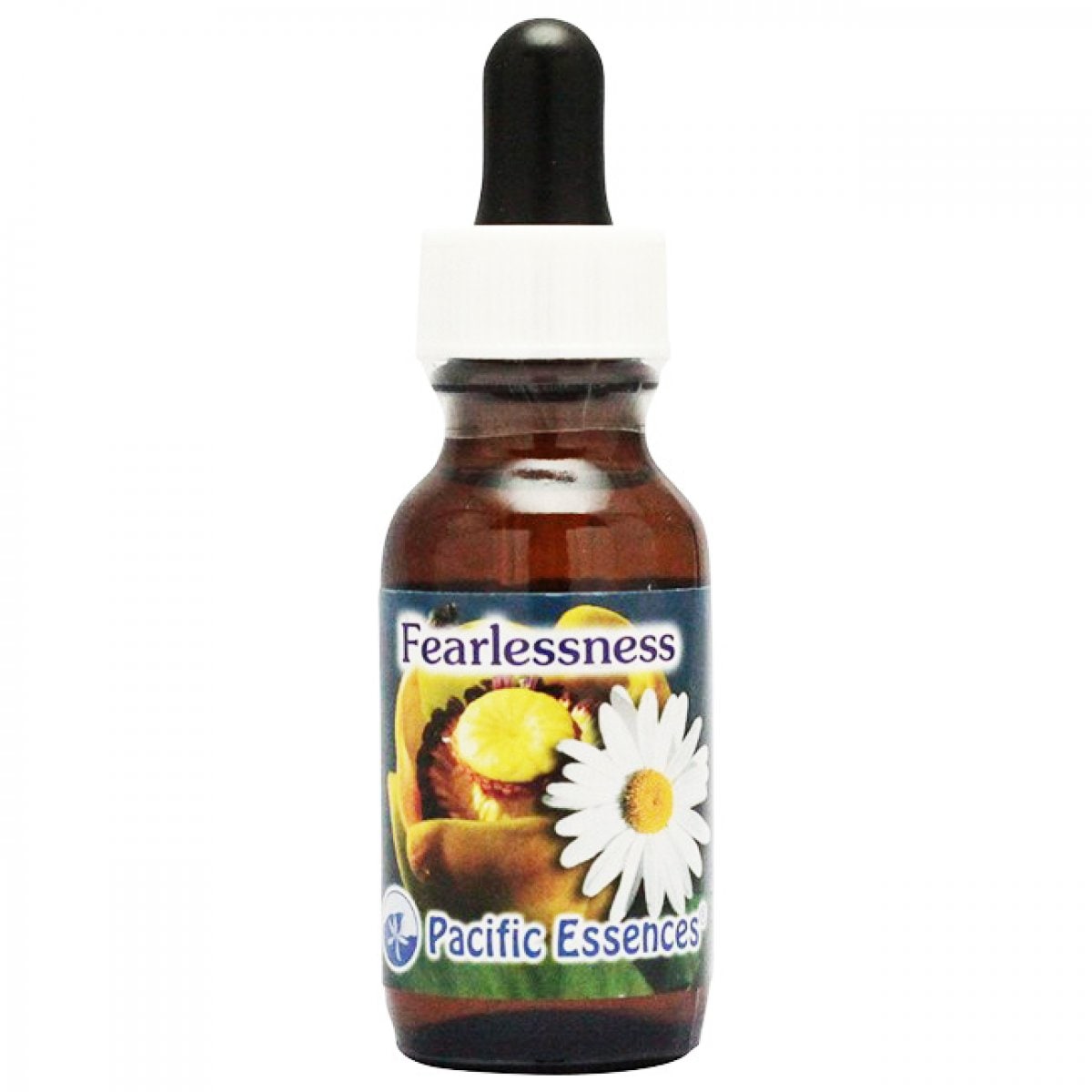 フィアレスネス[Fearlessness]『恐れの解放』