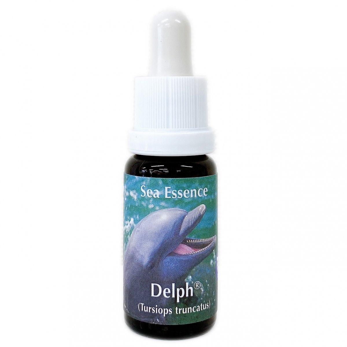 【愛、浄化、喜び】イルカ(デルフ)[Dolphin]