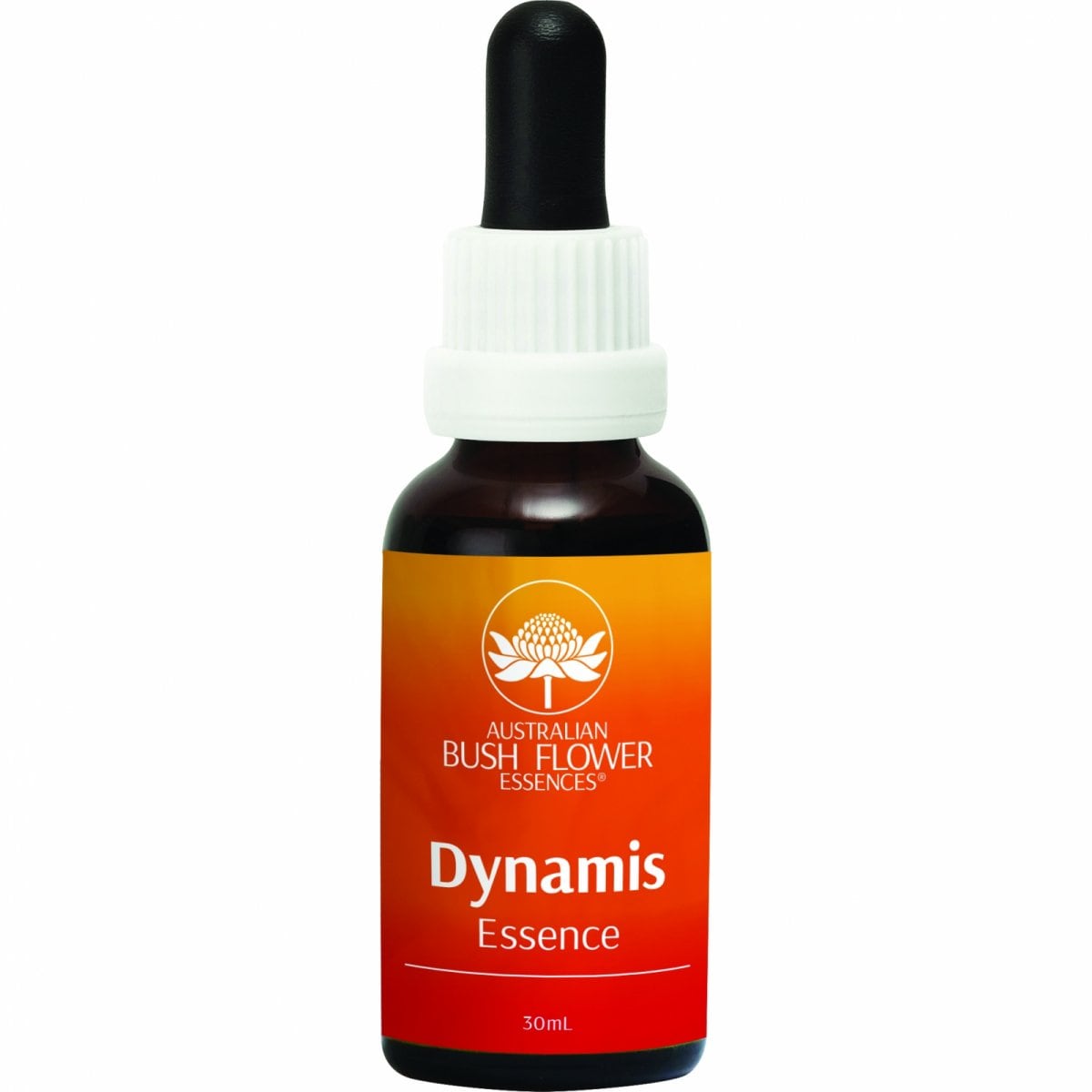 ダイナミス[Dynamis]『活力』