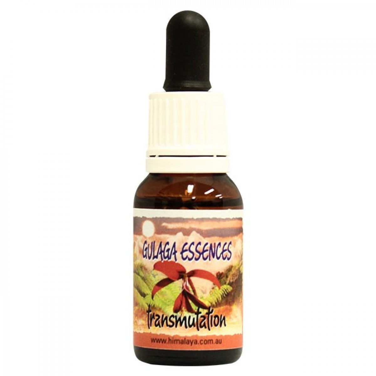 【変容】トランスミューテーション[Transmutation]