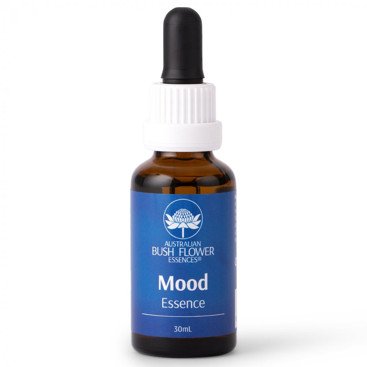 『気分、喜び』ムード [Mood]