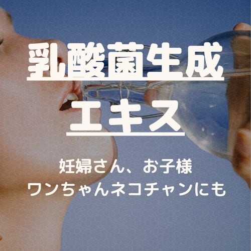 植物性乳酸菌生成エキスーLピュアー｜便通・肌質改善のサポート｜1箱30