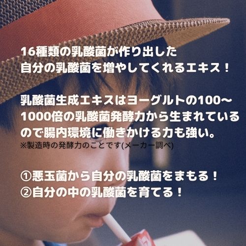エルピュア 5ml×30包 エルピュア【公式】乳酸菌生成エキス エルピュア Lpure｜ エステ・鍼灸