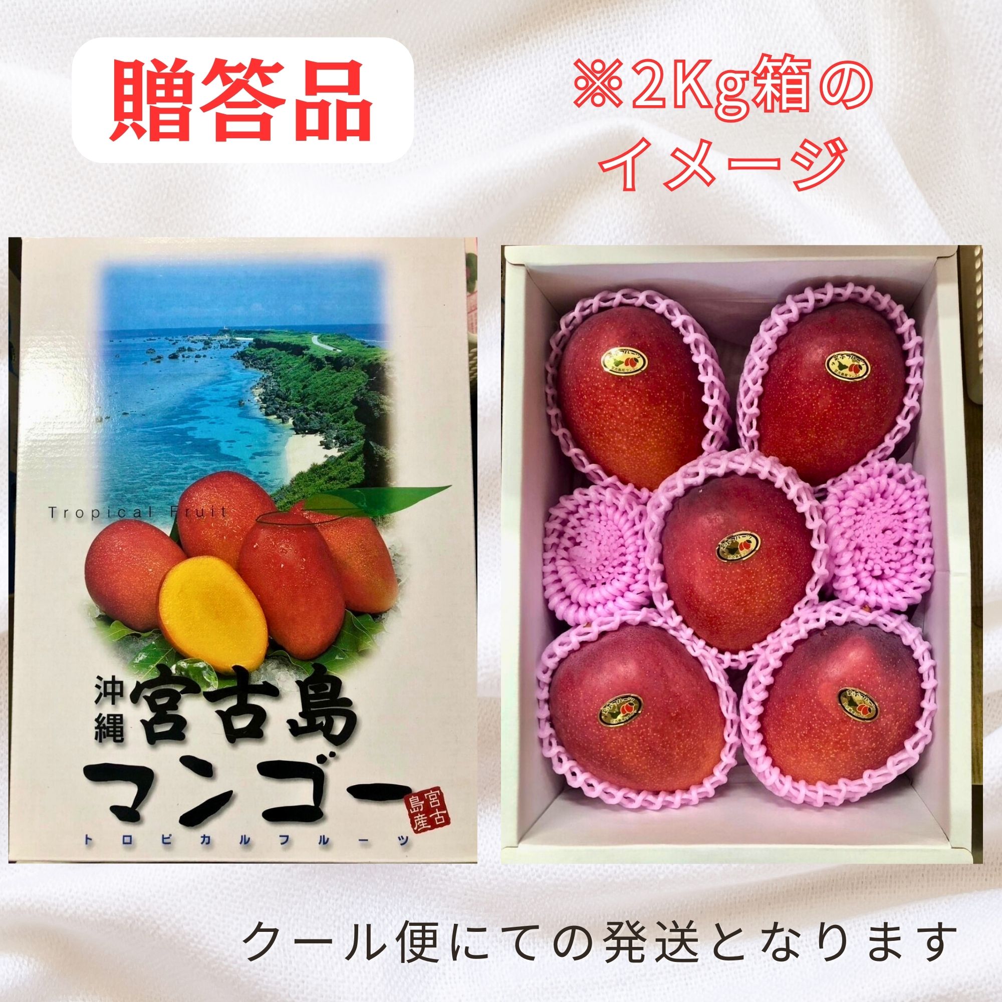 人気No.1お得な2kg(4〜6玉)【贈答用】宮古島マンゴー※7月初旬頃から