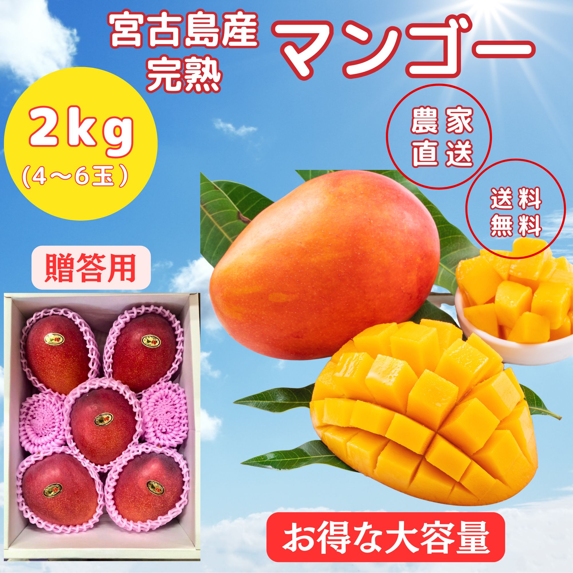 TKC様/贈答用おすすめマンゴー4個(2kg)クール発送 人気No.1お得な2kg(4〜6玉)【贈答用】宮古島マンゴー※7月初旬頃から