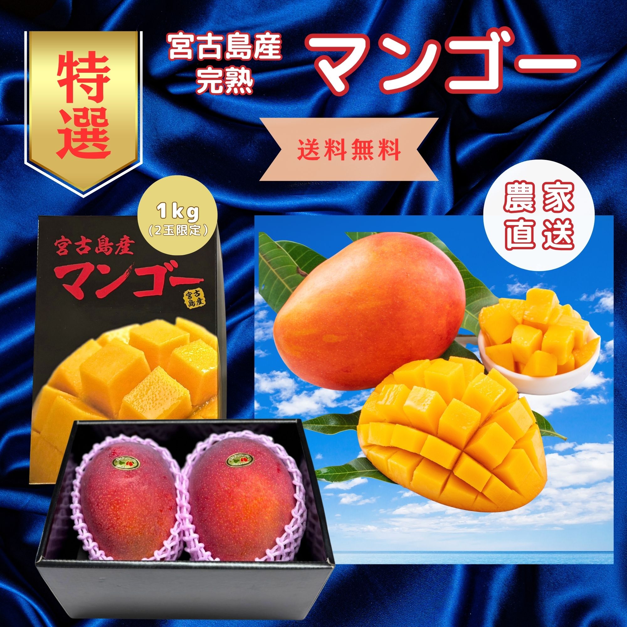 特選】ツクツク限定!！ 宮古島マンゴー1kg(2玉限定) (7月初旬頃から