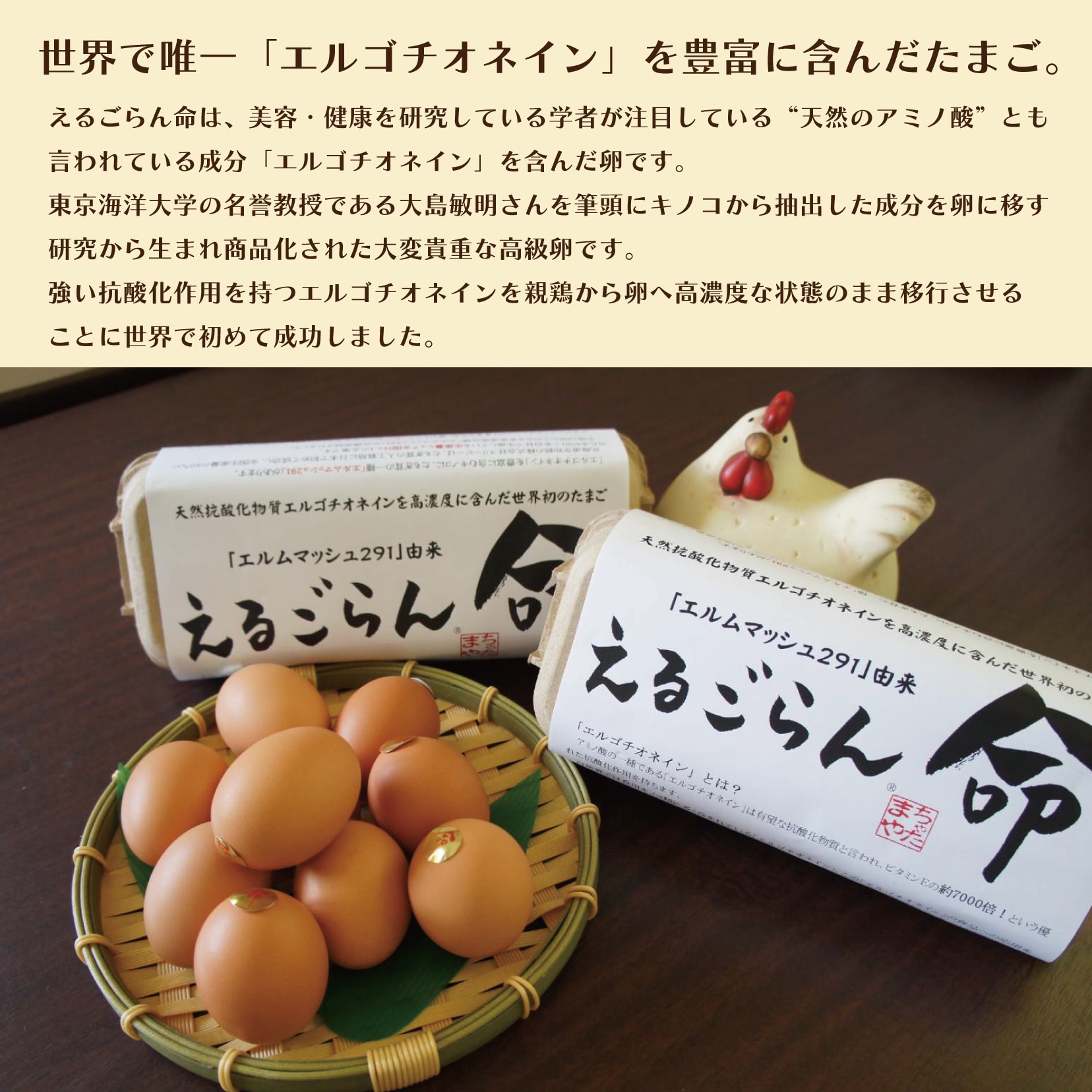 定期購入】えるごらん命セット40個(10個入り×4パック)〜ちゃたまや