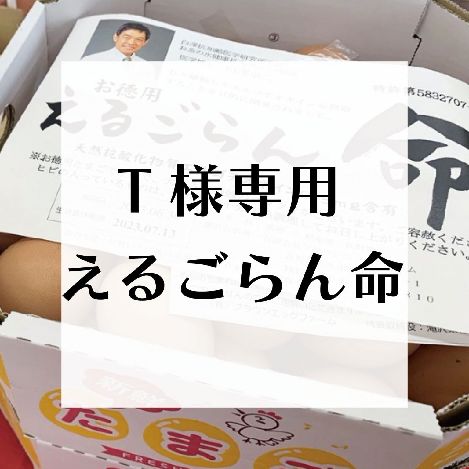 【T様専用】えるごらん命